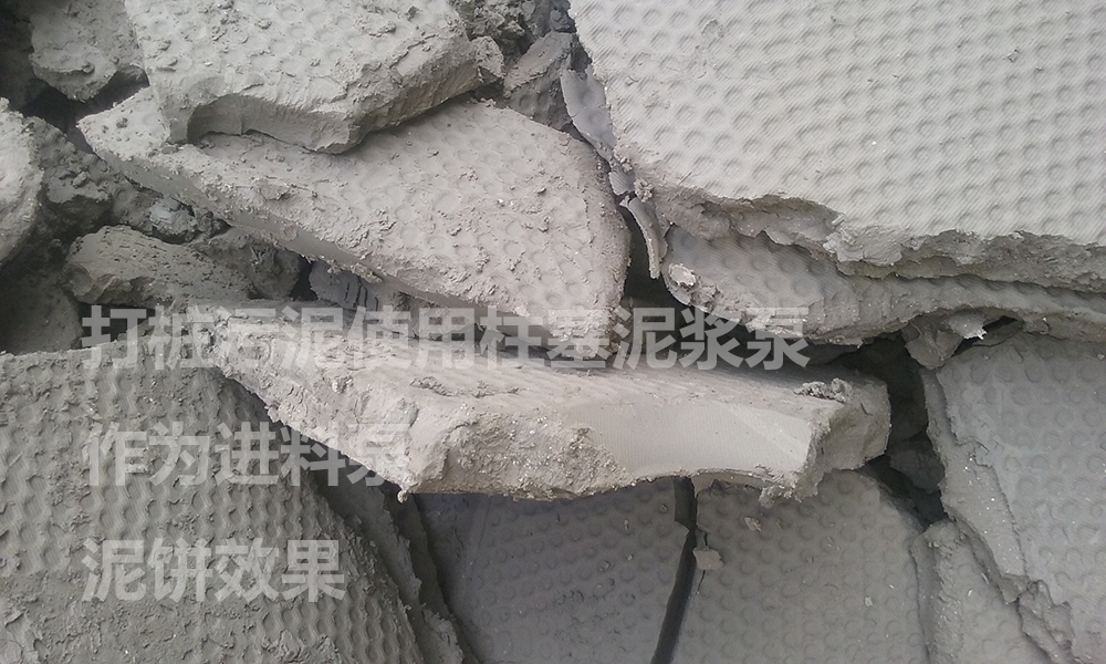 處理后的泥餅5.jpg 處理后的泥餅5.jpg