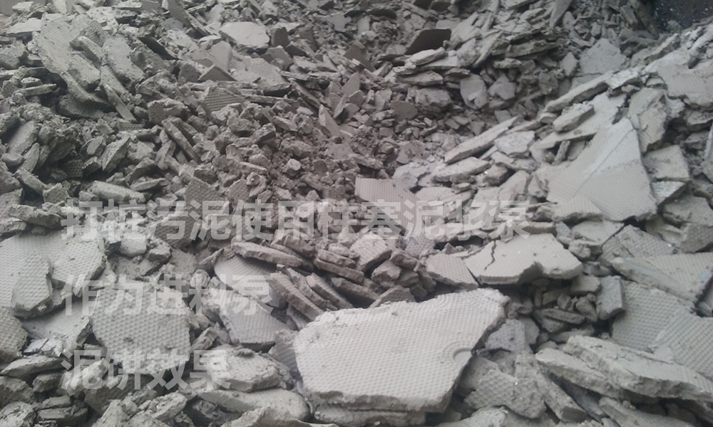 處理后的泥餅4.jpg 處理后的泥餅4.jpg