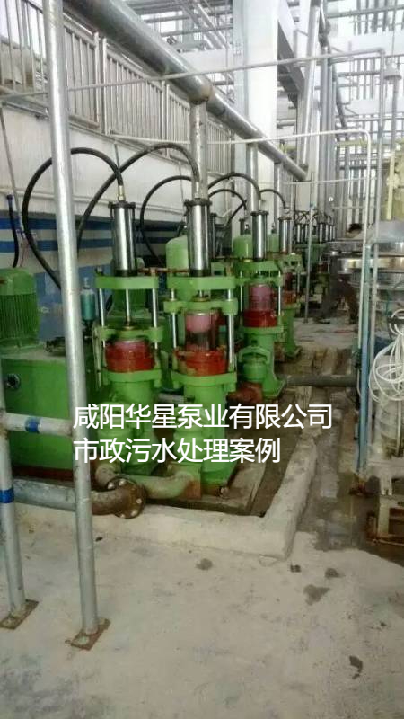 污水處理廠使用YBH200咸陽柱塞泵現場